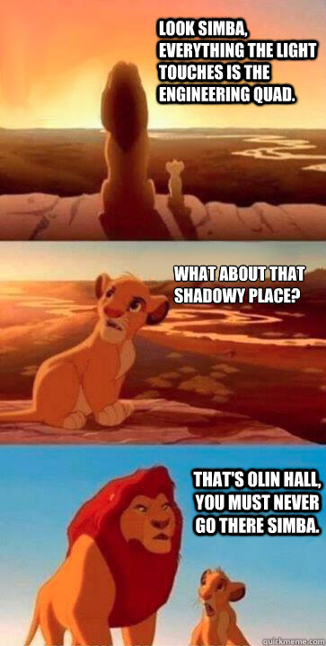 Look Simba, everything the light touches is the engineering quad. what about that shadowy place? that's Olin Hall, you must never go there Simba.  SIMBA