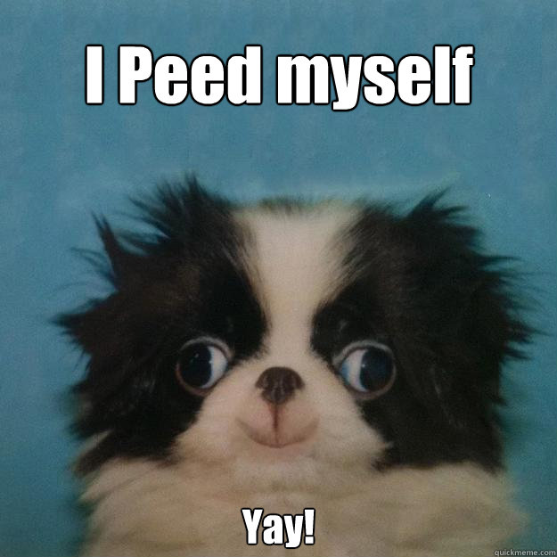 I Peed myself Yay! - I Peed myself Yay!  Megusta Puppy