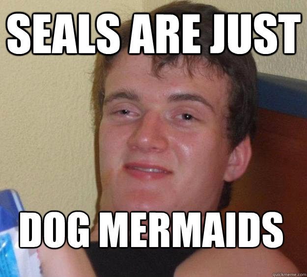 Seals are just dog mermaids
 - Seals are just dog mermaids
  10 Guy