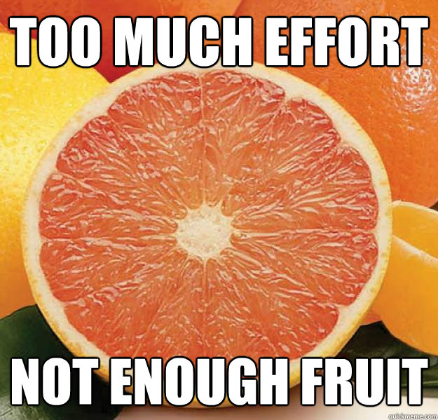 Too much effort not enough fruit - Too much effort not enough fruit  Grapefruit