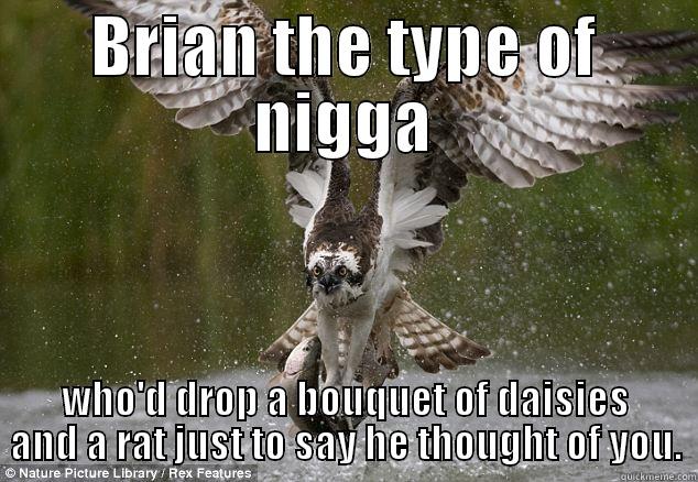 Osprey Bro - BRIAN THE TYPE OF NIGGA WHO'D DROP A BOUQUET OF DAISIES AND A RAT JUST TO SAY HE THOUGHT OF YOU. Misc