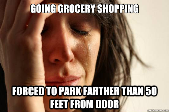 Going grocery shopping forced to park farther than 50 feet from door  First World Problems