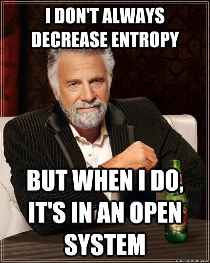 I don't always decrease entropy but when i do, it's in an open system  The Most Interesting Man In The World