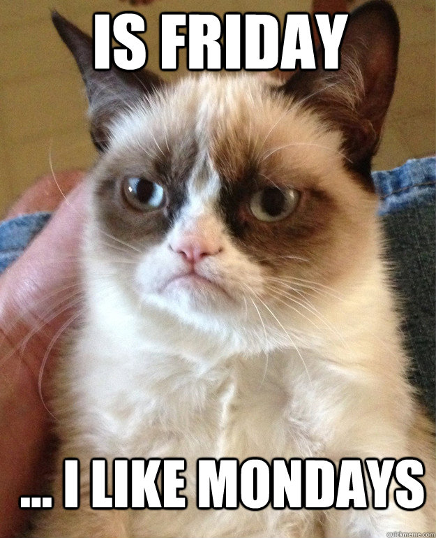 IS FRIDAY ... I like mondays  Grumpy Cat