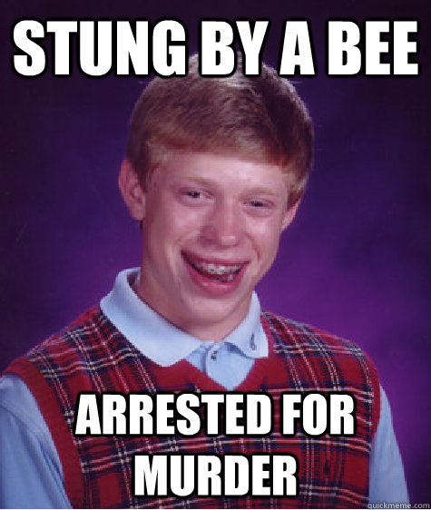 Stung by a bee arrested for murder - Stung by a bee arrested for murder  Bad Luck Brian