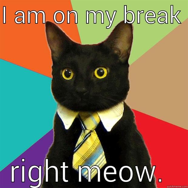 I AM ON MY BREAK  RIGHT MEOW.  Business Cat