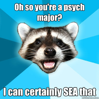 Oh so you're a psych major? I can certainly SEA that  Lame Pun Coon