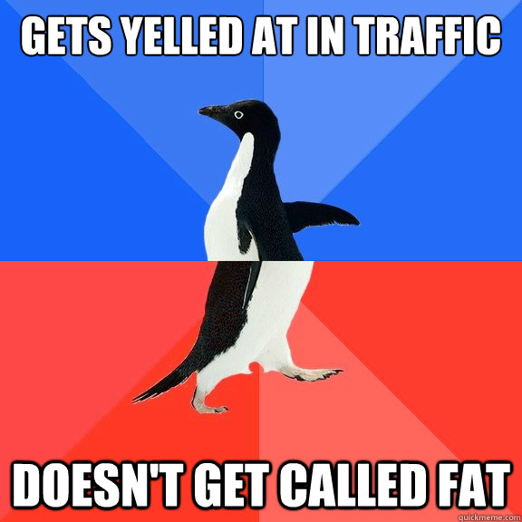 Gets yelled at in traffic doesn't get called fat  Socially Awkward Awesome Penguin