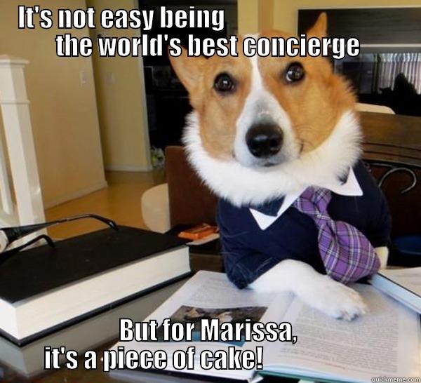 In the zone! - IT'S NOT EASY BEING                                    THE WORLD'S BEST CONCIERGE BUT FOR MARISSA, IT'S A PIECE OF CAKE!                       Lawyer Dog