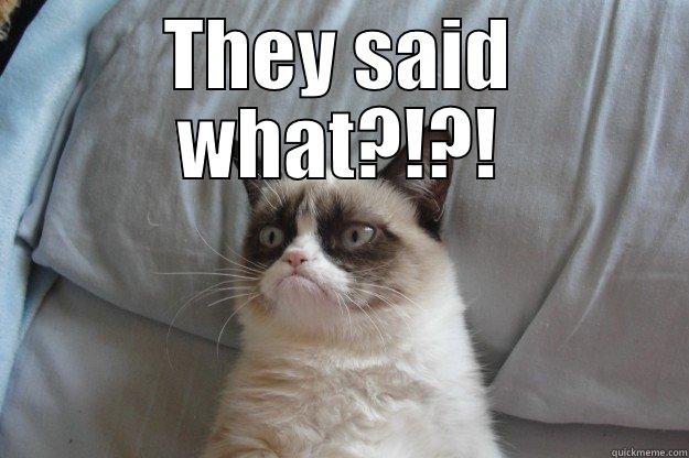 THEY SAID WHAT?!?!  Grumpy Cat