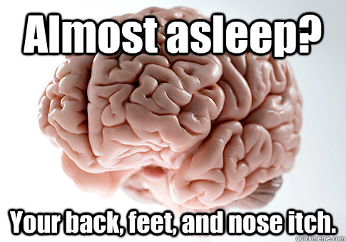 Almost asleep? Your back, feet, and nose itch.  Scumbag Brain