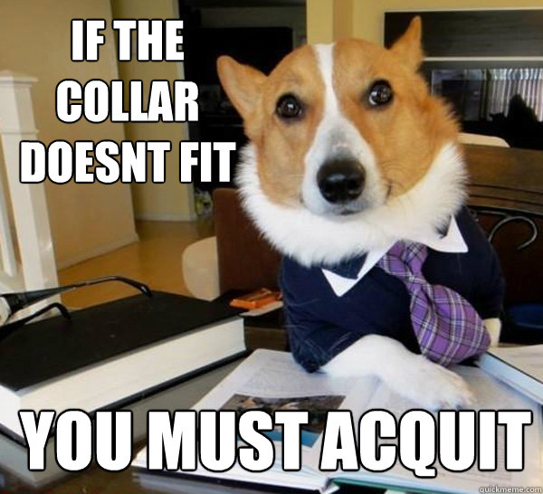 if the collar doesnt fit you must acquit  Lawyer Dog