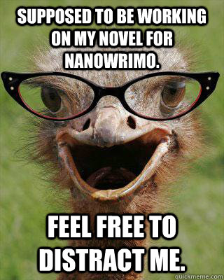 Supposed to be working on my novel for NaNoWriMo. Feel free to distract me.  Judgmental Bookseller Ostrich