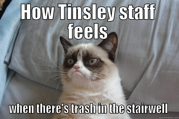 HOW TINSLEY STAFF FEELS WHEN THERE'S TRASH IN THE STAIRWELL Grumpy Cat