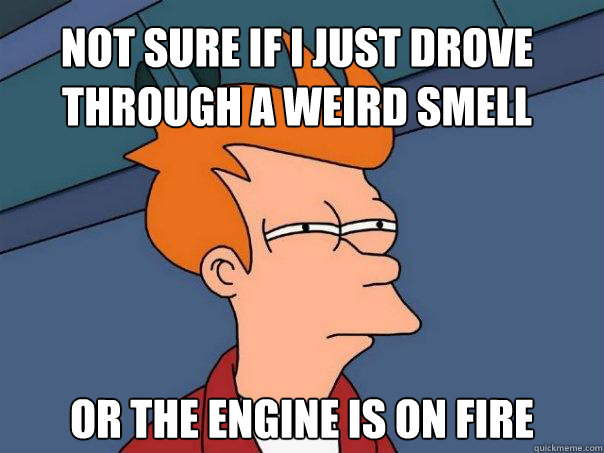 not sure if i just drove through a weird smell or the engine is on fire  Futurama Fry