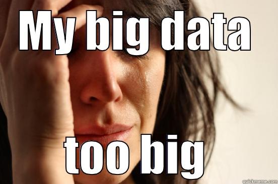 MY BIG DATA TOO BIG First World Problems