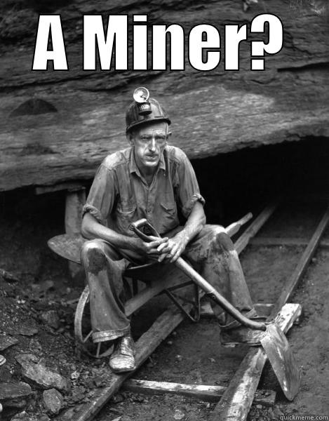 A MINER?  Misc