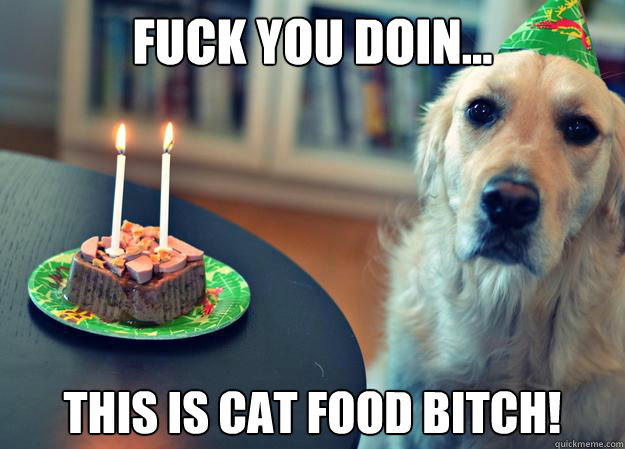 fuck you doin... This is cat food bitch!  Sad Birthday Dog