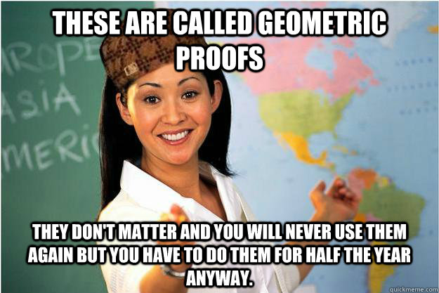 These are called geometric proofs They don't matter and you will never use them again but you have to do them for half the year anyway.  Scumbag Teacher