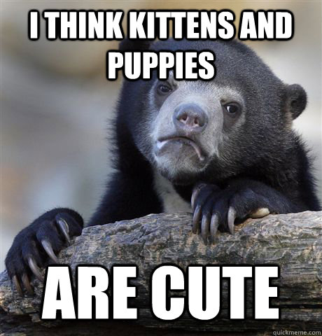 I think kittens and puppies are cute  Confession Bear