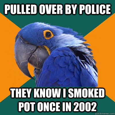 pulled over by police they know I smoked pot once in 2002  Paranoid Parrot