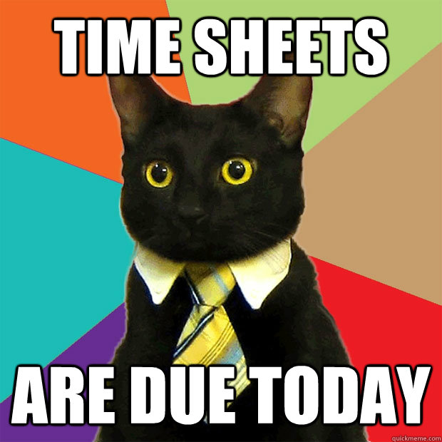 Time Sheets Are Due Today  Business Cat