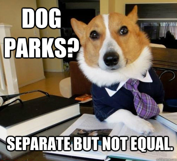 Dog Parks? separate but not equal.  Lawyer Dog