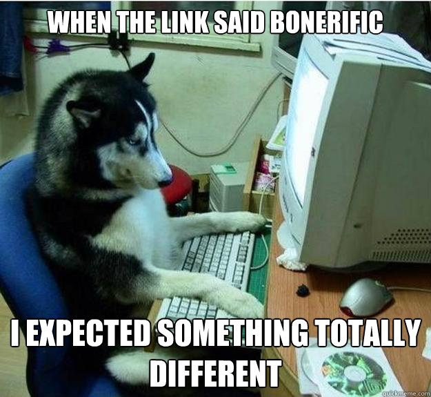 When the link said bonerific  i expected something totally different  Disapproving Dog