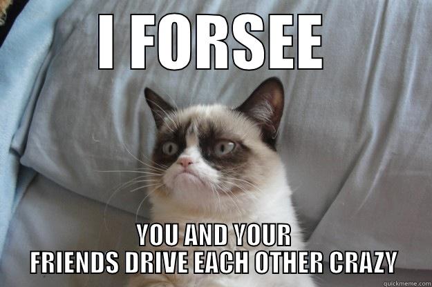 I FORSEE YOU AND YOUR FRIENDS DRIVE EACH OTHER CRAZY Grumpy Cat