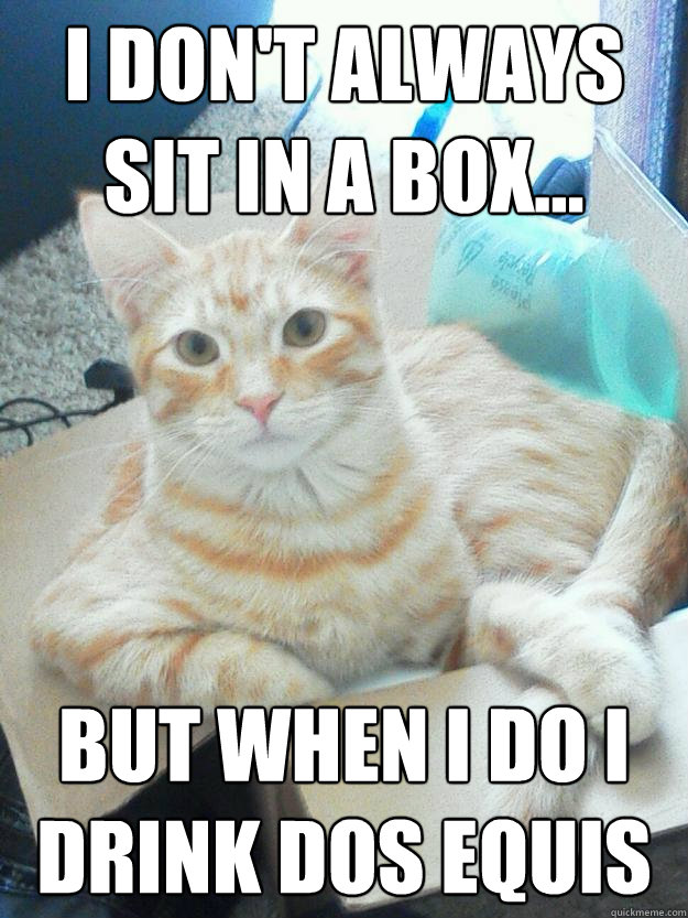 I don't always sit in a box... But when I do I drink Dos Equis - I don't always sit in a box... But when I do I drink Dos Equis  The Most Interesting Cat in the World