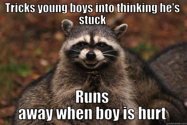 TRICKS YOUNG BOYS INTO THINKING HE'S STUCK RUNS AWAY WHEN BOY IS HURT Evil Plotting Raccoon