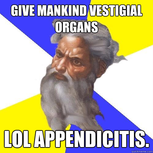 Give mankind vestigial organs LOL Appendicitis.  Advice God