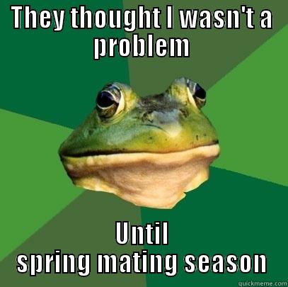 THEY THOUGHT I WASN'T A PROBLEM UNTIL SPRING MATING SEASON Foul Bachelor Frog