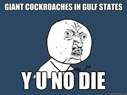 giant cockroaches in gulf states Y U NO die  Y U No