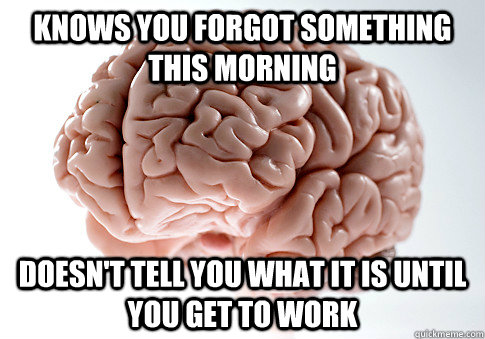 Knows you forgot something this morning Doesn't tell you what it is until you get to work  Scumbag Brain