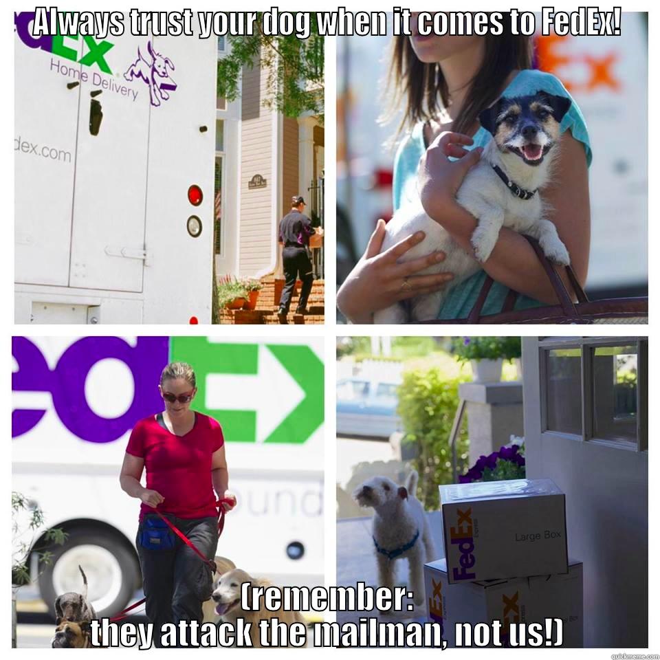 ALWAYS TRUST YOUR DOG WHEN IT COMES TO FEDEX! (REMEMBER: THEY ATTACK THE MAILMAN, NOT US!) Misc