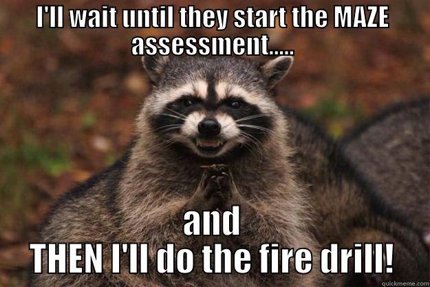 I'LL WAIT UNTIL THEY START THE MAZE ASSESSMENT..... AND THEN I'LL DO THE FIRE DRILL! Evil Plotting Raccoon