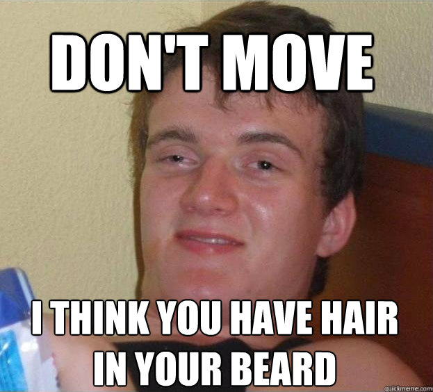 Don't move I think you have hair in your beard  - Don't move I think you have hair in your beard   The High Guy