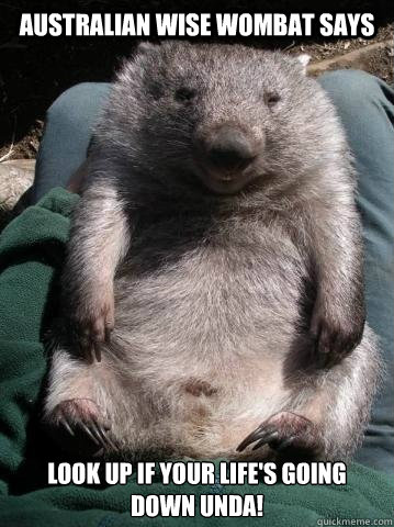 Australian Wise Wombat Says Look Up IF your life's going Down Unda! - Australian Wise Wombat Says Look Up IF your life's going Down Unda!  Australian Wise Wombat