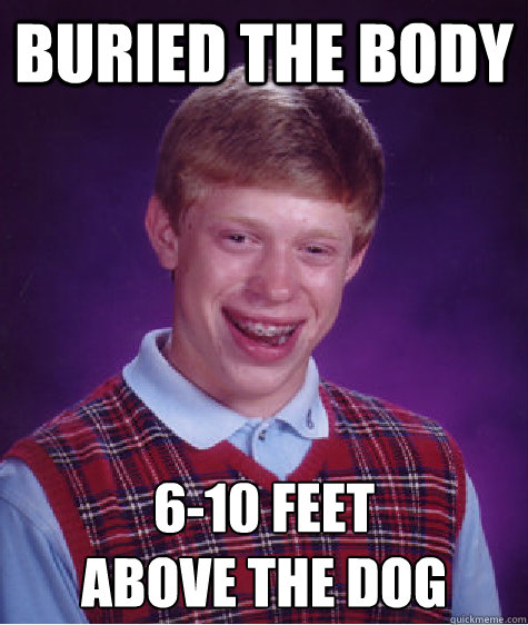 buried the body 6-10 feet 
above the dog - buried the body 6-10 feet 
above the dog  Bad Luck Brian