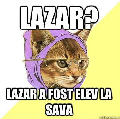 Lazar? Lazar a fost elev la sava  Hipster Kitty