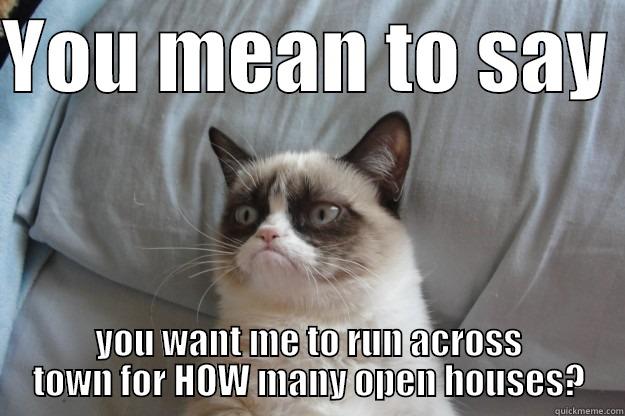 Open House Meme - YOU MEAN TO SAY  YOU WANT ME TO RUN ACROSS TOWN FOR HOW MANY OPEN HOUSES? Grumpy Cat