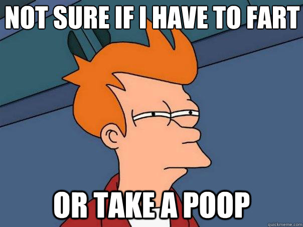 Not sure if I have to fart Or take a poop - Not sure if I have to fart Or take a poop  Futurama Fry