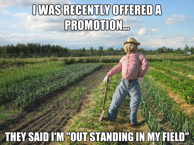 I was recently offered a promotion... They said I'm 