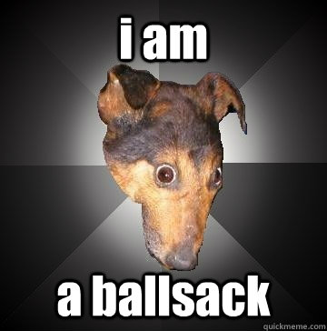 i am  a ballsack  Depression Dog