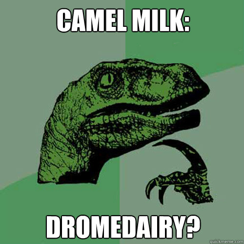 camel milk: dromedairy?  Philosoraptor