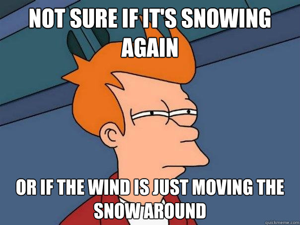 not sure if it's snowing again or if the wind is just moving the snow around - not sure if it's snowing again or if the wind is just moving the snow around  Futurama Fry