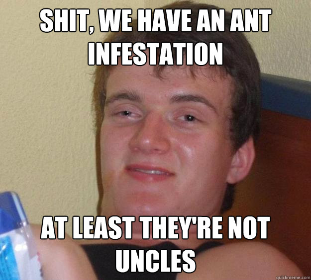 SHIT, WE HAVE AN ANT INFESTATION AT LEAST THEY'RE NOT UNCLES - SHIT, WE HAVE AN ANT INFESTATION AT LEAST THEY'RE NOT UNCLES  10 Guy