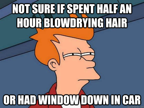 Not sure if spent half an hour blowdrying hair Or had window down in car  Futurama Fry