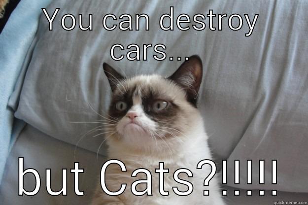 YOU CAN DESTROY CARS... BUT CATS?!!!!! Grumpy Cat